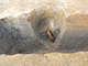 FileNo.173-035.jpg