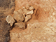 FileNo.173-038.jpg