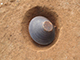 FileNo.173-041.jpg