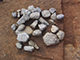 FileNo.173-042.jpg