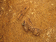FileNo.173-043.jpg