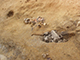 FileNo.173-044.jpg