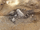 FileNo.173-047.jpg
