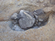 FileNo.173-048.jpg