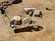 FileNo.173-049.jpg