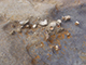 FileNo.173-051.jpg