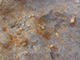FileNo.173-052.jpg