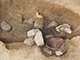 FileNo.173-053.jpg