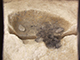 FileNo.173-054.jpg