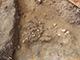 FileNo.173-056.jpg