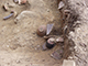 FileNo.173-057.jpg