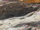 FileNo.173-065.jpg