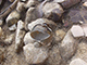 FileNo.173-070.jpg