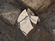 FileNo.173-071.jpg
