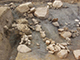 FileNo.173-073.jpg
