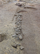 FileNo.173-078.jpg