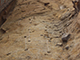 FileNo.173-079.jpg