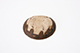 FileNo.173-091.jpg
