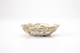 FileNo.173-092.jpg