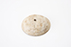 FileNo.173-095.jpg
