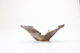 FileNo.173-096.jpg