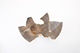FileNo.173-097.jpg