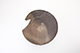 FileNo.173-101.jpg