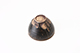 FileNo.173-110.jpg