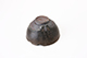 FileNo.173-116.jpg