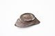 FileNo.173-157.jpg