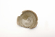 FileNo.173-216.jpg