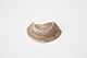 FileNo.173-258.jpg