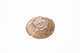 FileNo.173-262.jpg