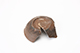FileNo.173-264.jpg