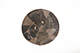 FileNo.173-271.jpg