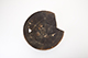 FileNo.173-273.jpg