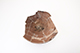 FileNo.173-281.jpg
