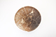 FileNo.173-285.jpg