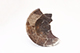 FileNo.173-295.jpg