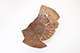 FileNo.173-299.jpg