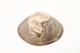 FileNo.173-312.jpg