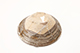 FileNo.173-318.jpg
