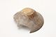 FileNo.173-320.jpg