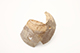FileNo.173-326.jpg
