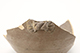 FileNo.173-332.jpg