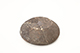 FileNo.173-334.jpg
