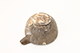 FileNo.173-344.jpg