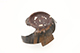 FileNo.173-346.jpg