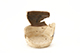 FileNo.173-393.jpg