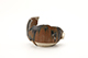 FileNo.173-411.jpg